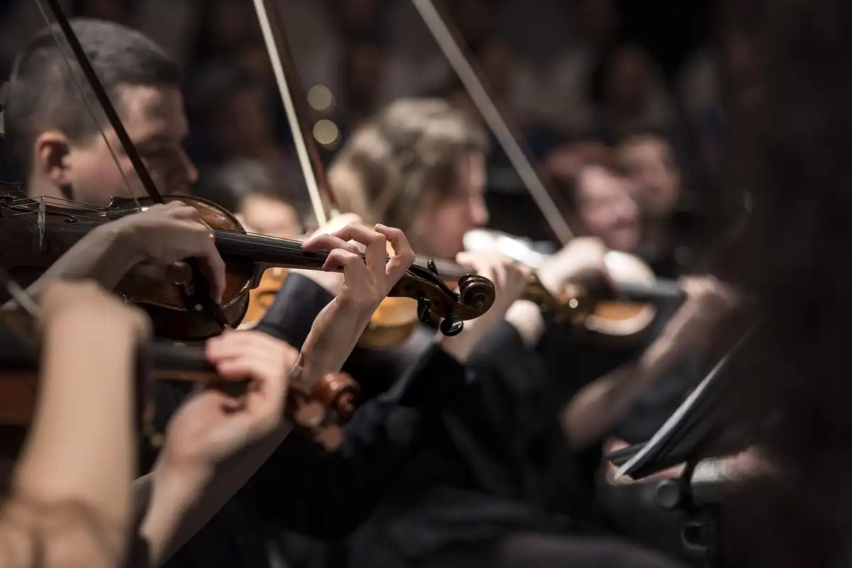Violoniști concentrați pe interpretare, surprinși de aproape în timpul unui concert simfonic