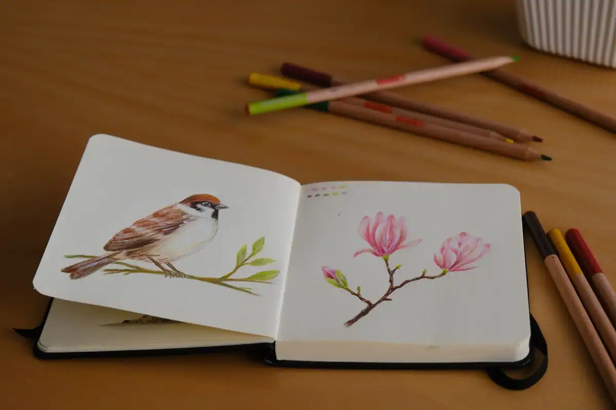 Schițe detaliate cu o vrabie și o magnolie într-un caiet, cu creioane colorate pe masă